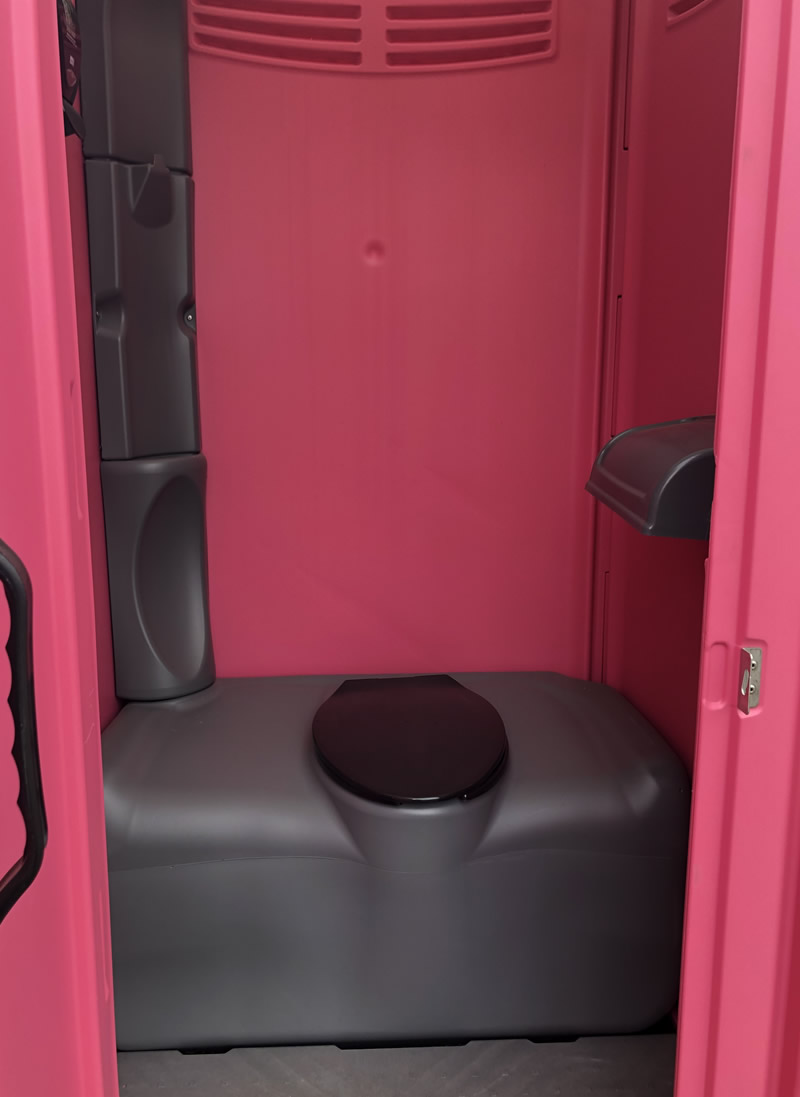 Pink Powder Room - inside