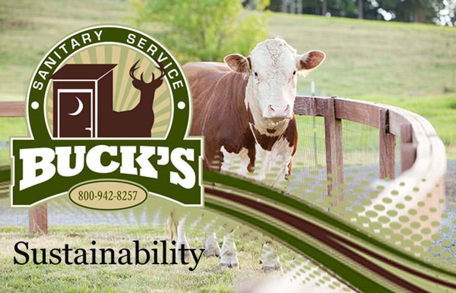 Buck's Sustainability